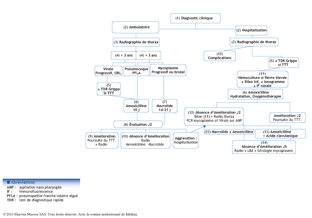 Pneumonies Du Diagnostic Au Traitement Pas A Pas En Pediatrie