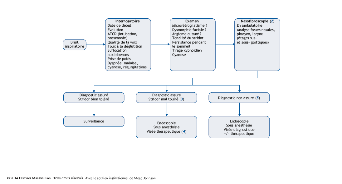 Stridor Pas A Pas En Pediatrie